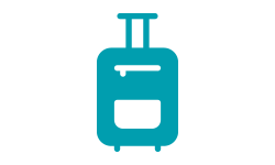 Luggage & Handbags Category